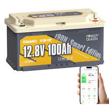 Batteria LiFePO4 12V100Ah con