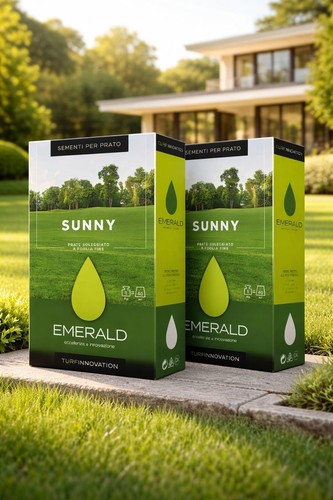 Sementi emerald sunny - emerald,