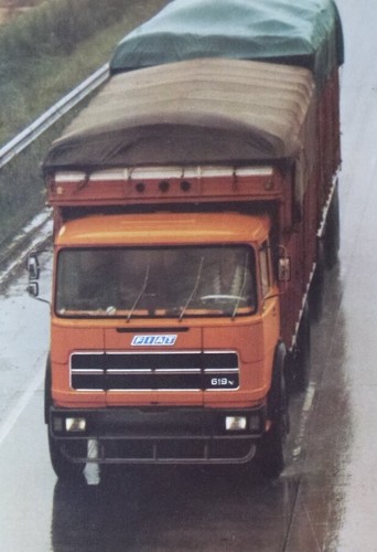 Serie campi motorino - campi, 619