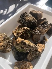 rocce acquario, sabbia acquario, cannolicchi filtro acquario