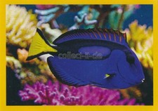 Panini National Geographic -