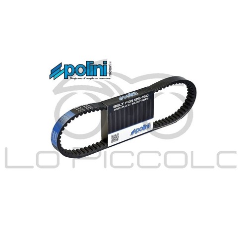 248 120 cinghia variatore - 248.120,
