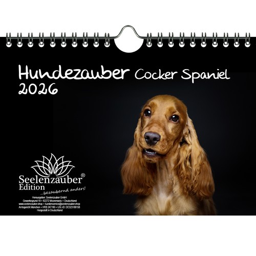 Hundezauber cocker spaniel din - cocker,