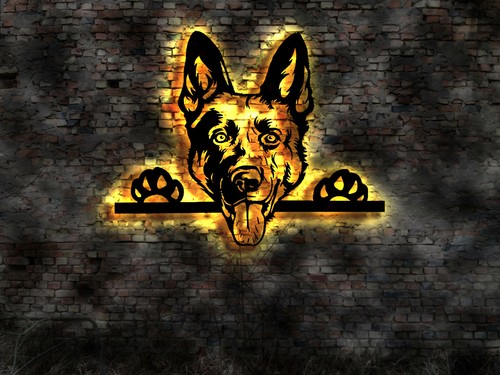 Quadro parete malinois - quadro,