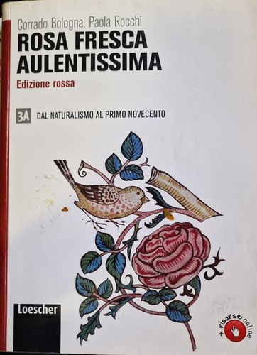 Rosa fresca aulentissima - aulentissima,