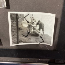 Vespa,Piaggio,faro Basso,bacchetta,1940/50, Roma,targa,officina,meccanico,GO257