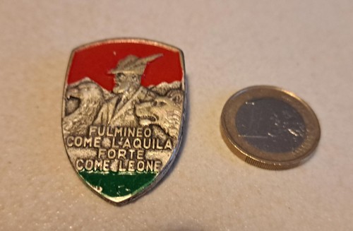 Spilla comm reparti alpini - spilla,
