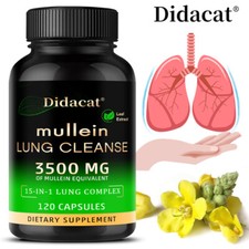 Estratto di Foglie di Mullein