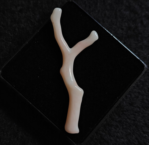 Naturale bianco corallo branch - corallo,