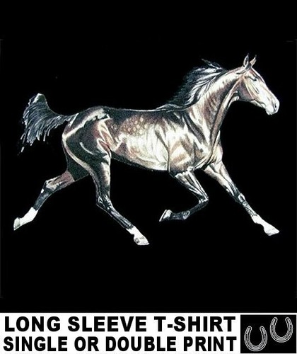 Beautiful thoroughbred trotter - thoroughbred,
