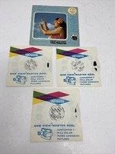 Isole Hawaii Maui Kauai