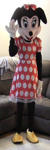 Minnie mouse costume 2 - minnie,