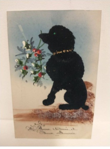 Cane fg54697 barboncino nero - cane,