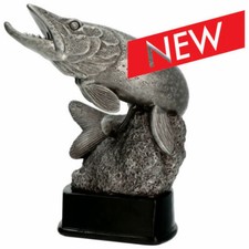 TROFEO PER GARA O CAMPIONATO