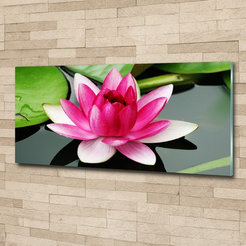 Quadro immagine arte parete - immagine, da