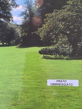 PRATO OMBREGGIATO KG 5 Sementi Prato Professionale