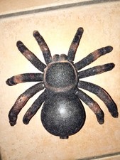 Vintage - Ragno tarantola