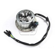 Pit Bike Mini Rotore Statore