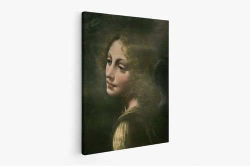 Leonardo vinci testa di - vinci,