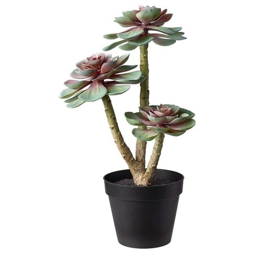 Ikea aerglo fejka pianta - fejka,