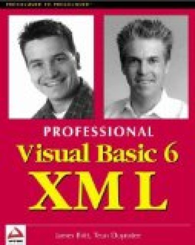 Professional visual basic - visual,