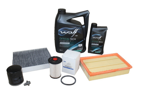 Kit revisione diesel ford - kit,