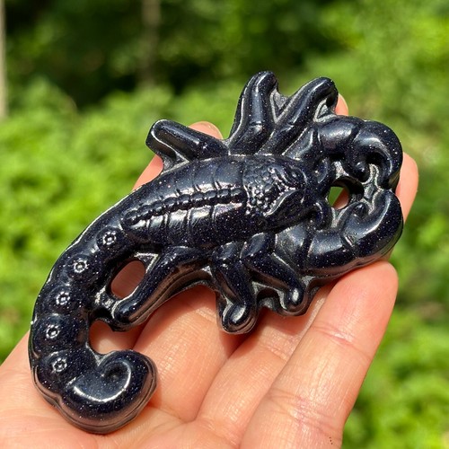 Teschio scorpione sabbia