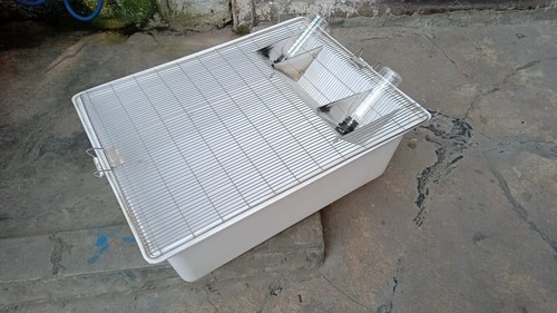 Guniea gabbia per topi - gabbia,