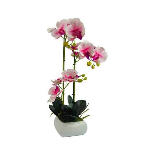 Pianta artificiale orchidea - pianta,