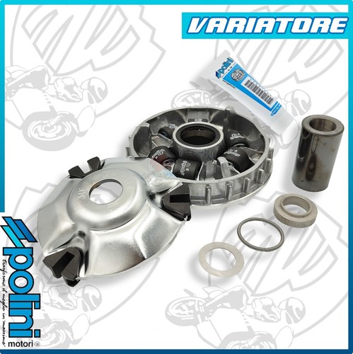 Variatore speed piaggio - variatore,