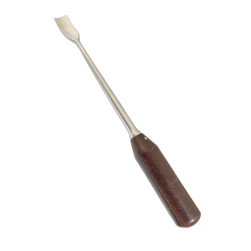 Sgorbia con collo - , cigno