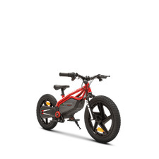 E-Moto Kids Ducati  Kids
