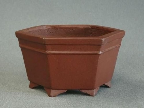 Vaso per bonsai giapponese
