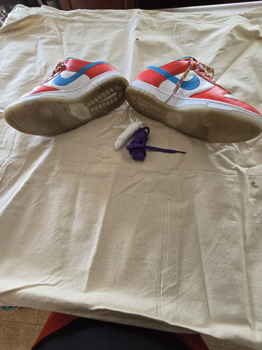 Nike dunk low lebron james - x,