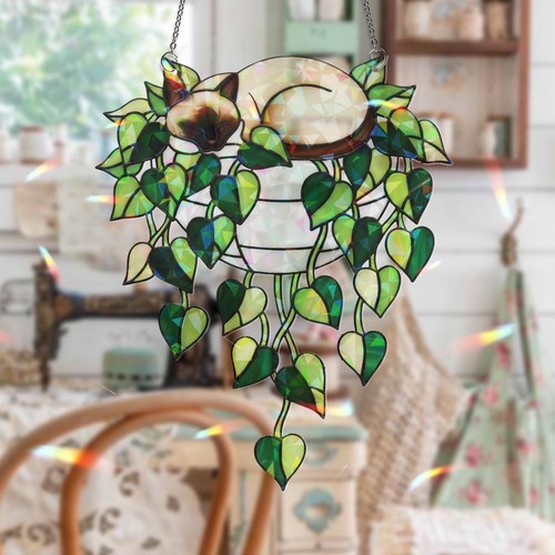Pianta gatto siamese - di,