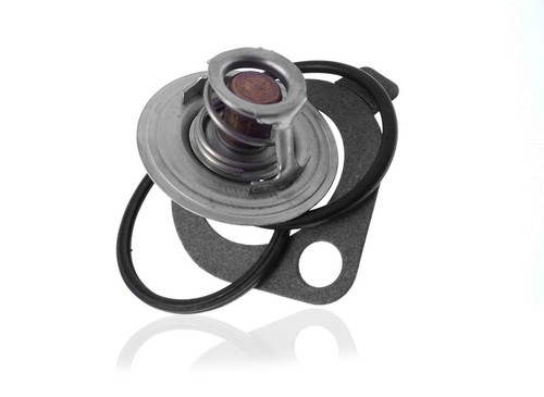 Termostato per acqua - 1.8t, rs