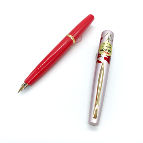 Penna stilografica tascabile