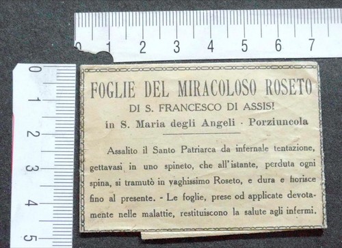 Reliquia foglia del - , miracoloso