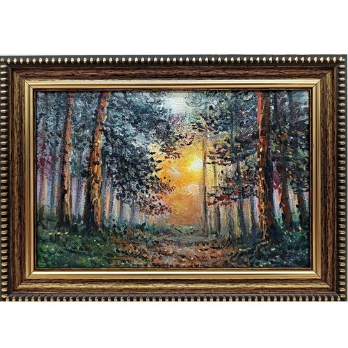 Forest sunset original - sunset,