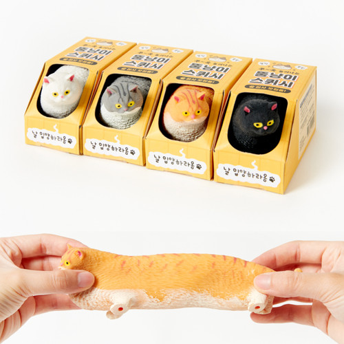 Divertente gatto grasso