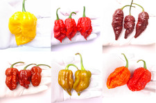 Peperoncino più caldo del