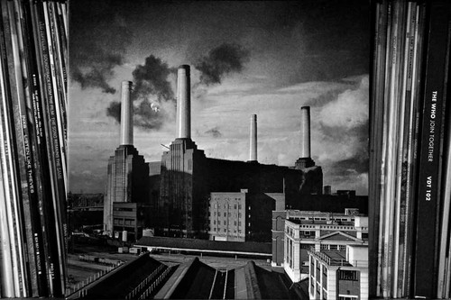 Pink floyd animals album - animals, lp