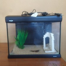 Acquario in Cristallo Newa-Mirabello-30L-Completo con Luce a Led + Accessori 