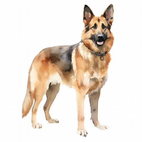 Adesivi auto cane pastore - cane,