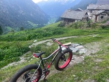 fat bike Trusty taglia m