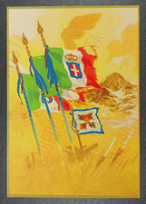 Cartolina Postale Comando