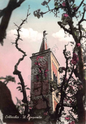 Cartolina collecchio campanile - cartolina,