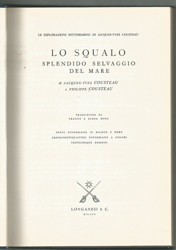 Squalo splendido selvaggio - squalo,