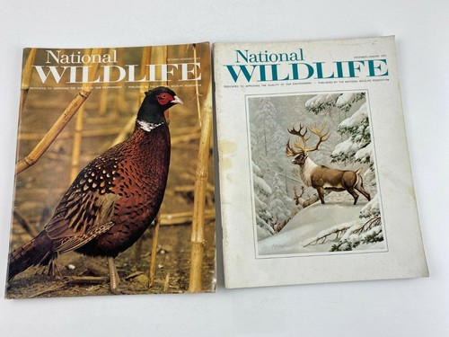 Lot vintage 1971 - of,