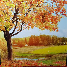 Quadro su Tela 60x60 -